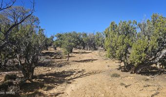 4 County Rd, Concho, AZ 85924