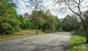 20 Willow Tree Run, Asheville, NC 28803