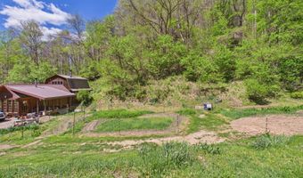 1000 Coon Fork Rd, Arnoldsburg, WV 25234