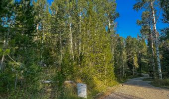 Tbd ALPINE MEADOW LOOP 14, Alpine, WY 83128