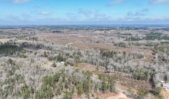 919 County Road 6628, Banks, AL 36005