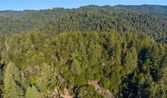 4419 Trout Gulch, Aptos, CA 95003
