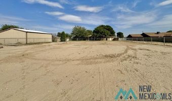 4405 S Thomason Rd, Carlsbad, NM 88220