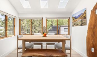 910 W Hallam St 9, Aspen, CO 81611