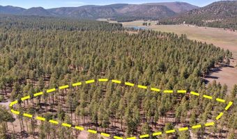 County Road 2325, Alpine, AZ 85920