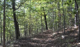 33202 Missouri State Highway E 14, Ava, MO 65608