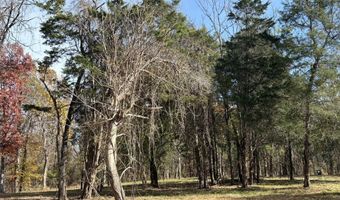 Parcel B DULWICH DR Parcel B, Amherst, VA 24521