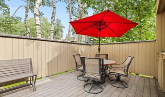 1443 Crystal Lake Rd 3E, Aspen, CO 81611