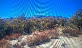 38007 Tripp Flts, Anza, CA 92539