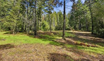 Morrison Rd_Barnaby 403, Bandon, OR 97411