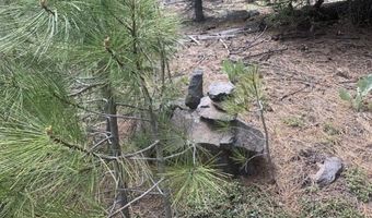 Railroad Flat Dr, Alturas, CA 96101