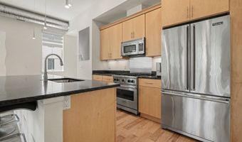 410 N 1st St 203, Ann Arbor, MI 48103