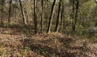 SW 22nd Pl, Bell, FL 32619