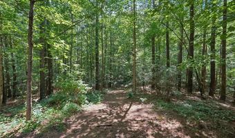 202 Saddlehorn Trl, Ball Ground, GA 30107