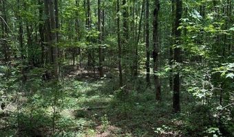 410 N Sharp Mountain Church Ln, Ball Ground, GA 30107