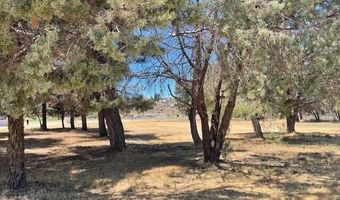 49275 Flightline Way, Aguanga, CA 92536