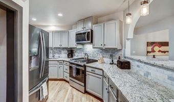 1095 Quartzville Rd, Alma, CO 80440