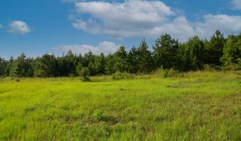 0 US Hwy 84 E, Andalusia, AL 36420