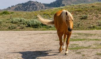 30 VISTA Rd, Cora, WY 82925