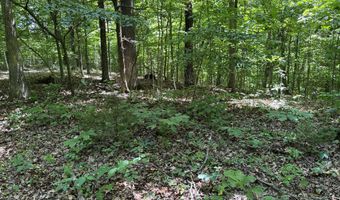 6 8 Acres Friendship South Rd, Afton, TN 37616