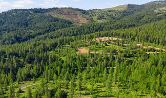 NNA Stone Rd Lot 2 20.0 Acres, Blanchard, ID 83804
