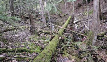 940 Sled Run Trl, Clark Fork, ID 83811