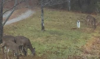 1408 Coleman Mountain Rd, Appomattox, VA 24522