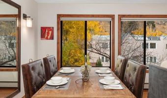 725 E Main St 309, Aspen, CO 81611