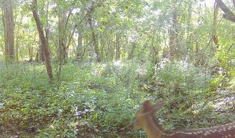 Williams Street, Brookhaven, MS 39601