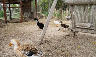29972 Chihuahua Valley Rd, Warner Springs, CA 92086