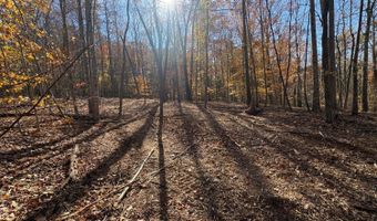 99- C Richmond Hwy, Amherst, VA 24521