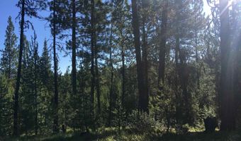 34 Silver Cloud Dr, Cascade, ID 83611