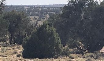 Tbd WICKED SISTERS, Concho, AZ 85924
