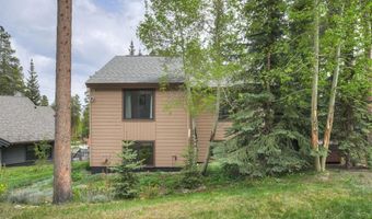 114 Park Forest Dr, Breckenridge, CO 80424