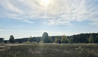 303 Westwood Rd NW, Alden, MI 49612