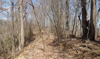 Gentry Farm Road, Aurora, NC 28743