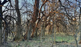 0002 CR-290, Asbury, MO 64832