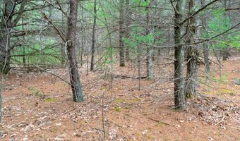 255 45 Ac Dover Dr, Adams, WI 53910