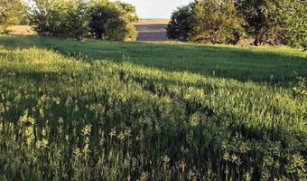 480 S Ave Ave, Alcester, SD 57001