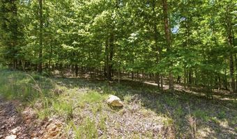 County Road 101, Alton, MO 65606