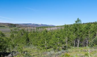 CARROLL Lane, Daniel, WY 83115