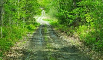 Pleasent Pond Road lot 7, Atkinson, ME 04426