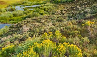 TRACT 17 FISHERMAN CREEK Road, Bondurant, WY 82922
