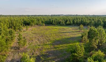 Mann Road, Arabi, GA 31712