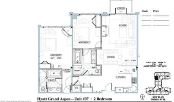 415 E Dean St. Unit 37 Week 6, Aspen, CO 81611
