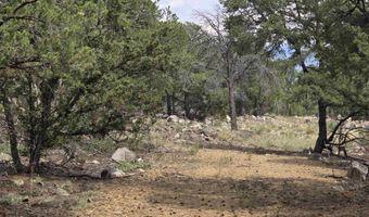 Lobo Ranch Road, Arroyo Hondo, NM 87513