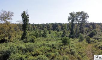 MILTON WHITE ROAD, Bastrop, LA 71220