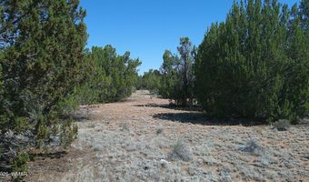 Concho Valley lot 3, Concho, AZ 85924