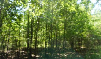 000 Stokes Rd, Bald Knob, AR 72010