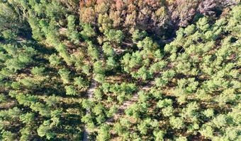 TBD Binnicker Bridge Road, Bamberg, SC 29003